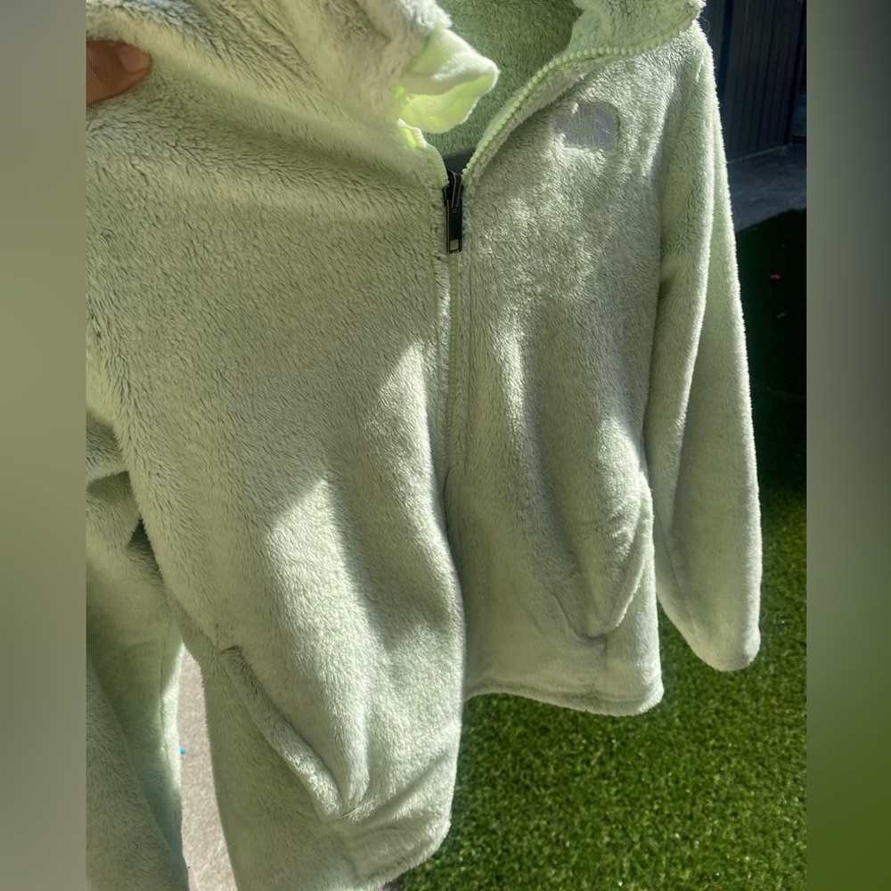 The north face Light Green Fleece Zip-Up Jacket